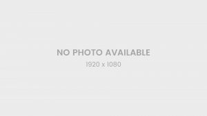 Buckle & pins for sashes